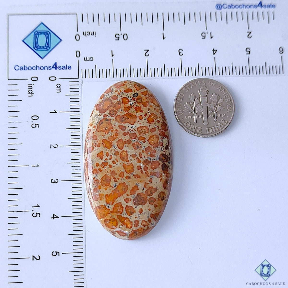 Cabochons4sale oval asteroid jasper cabochon with brown spotted pattern, 46x25x6mm, shown next to a US dime for scale.