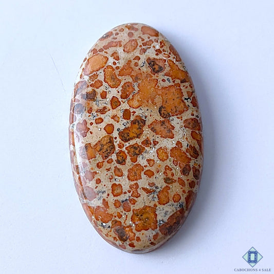 Cabochons4sale oval asteroid jasper cabochon with brown spotted pattern and polished opaque finish
