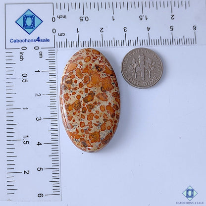 Cabochons4sale brown oval asteroid jasper cabochon gemstone with spotted pattern next to a US dime for scale