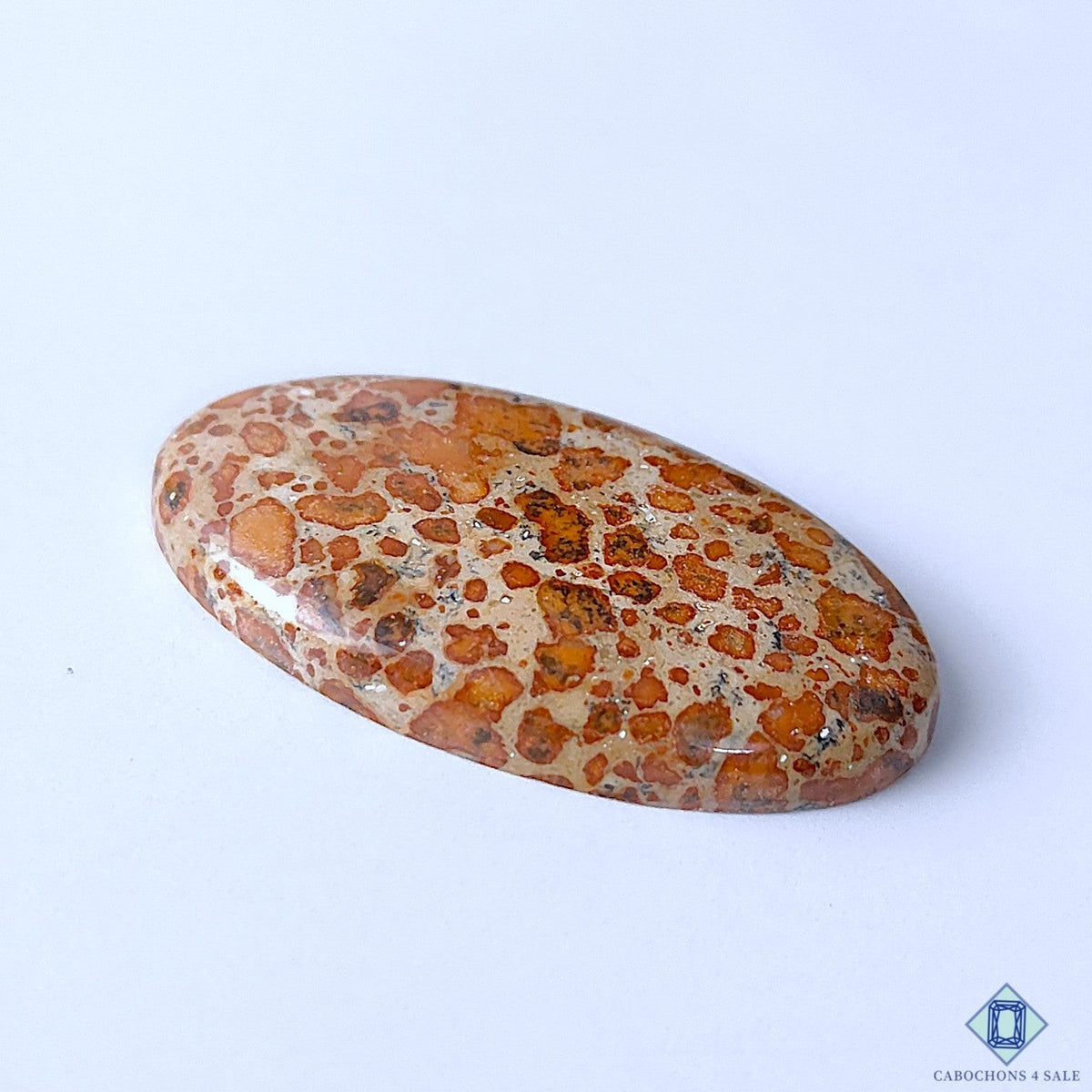 Cabochons4sale oval asteroid jasper cabochon with brown spotted pattern, 44x25x6mm polished gemstone