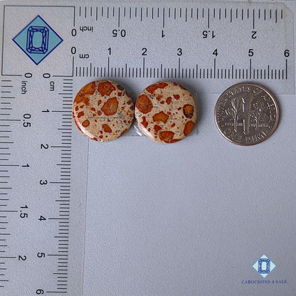 Natural Asteroid Jasper Gemstone Round Pairs 17*4mm from Indonesia available for sale