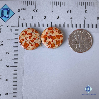 Natural Asteroid Jasper Gemstone Round Pairs 16*3mm from Madagascar available for sale