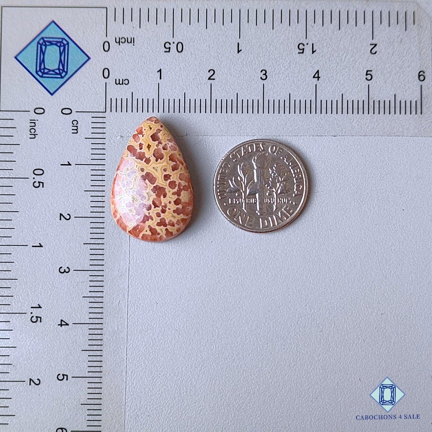 Cabujones de jaspe asteroide natural en forma de pera de 23 x 16 x 5 mm de Madagascar, disponibles para la venta.