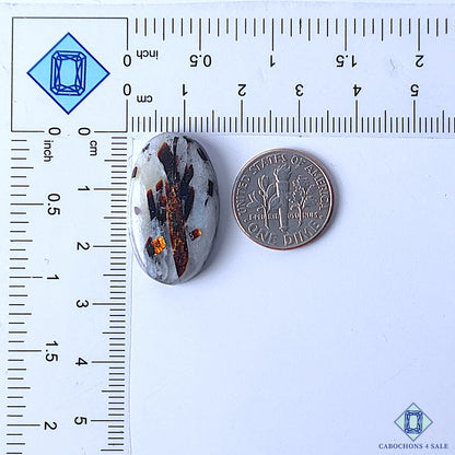 Astrophylite
