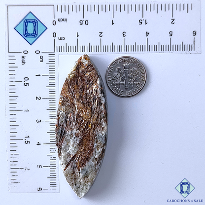 Astrophylite