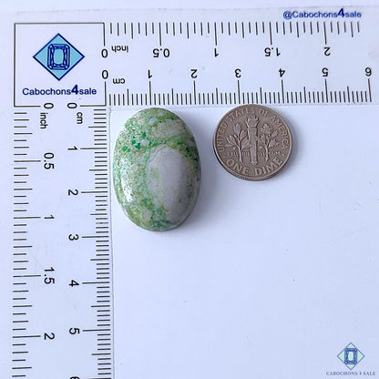 Australian Variscite