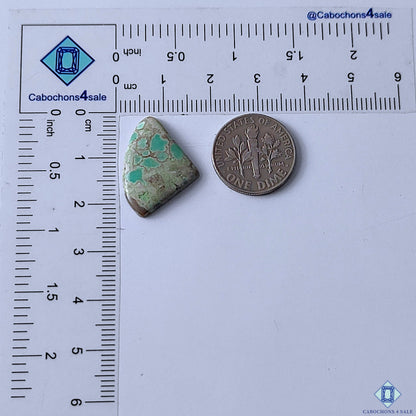 Australian Variscite