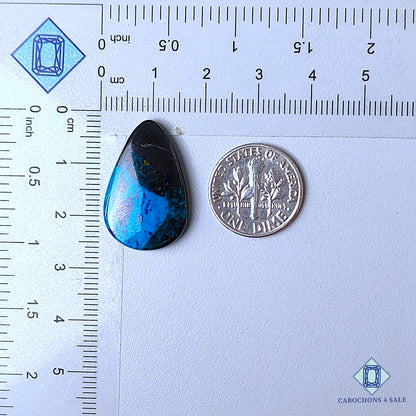 Cabujones de azurita shattuckita natural en forma de pera de 24 x 16 x 4 mm, procedentes de la República Democrática del Congo, disponibles para la venta.