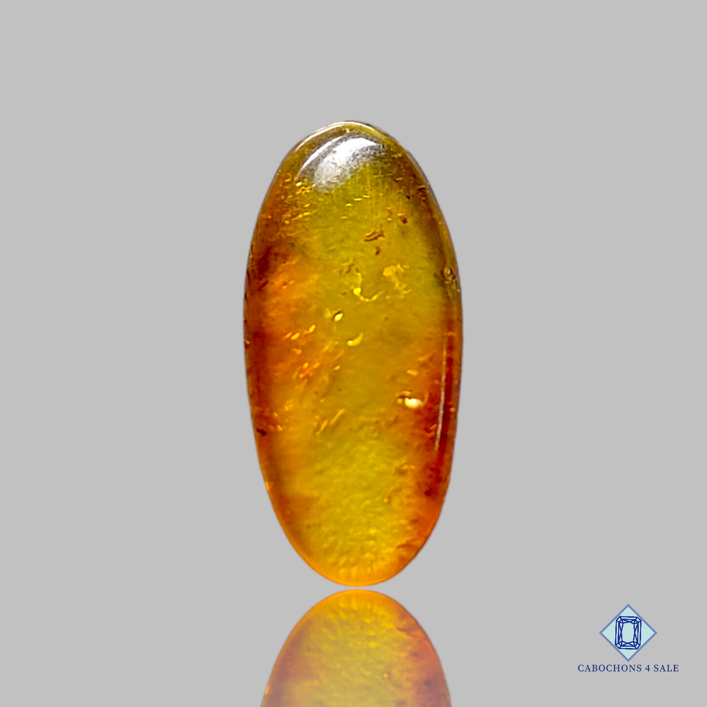 Baltic  Amber