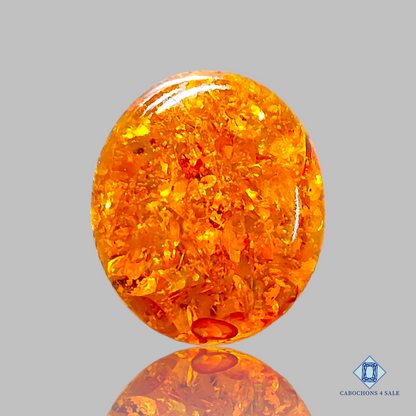 Baltic  Amber