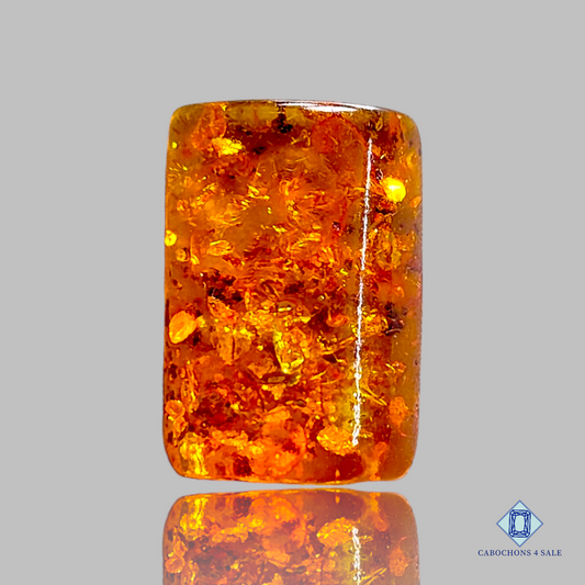 Baltic  Amber