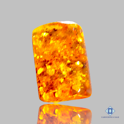 Baltic  Amber