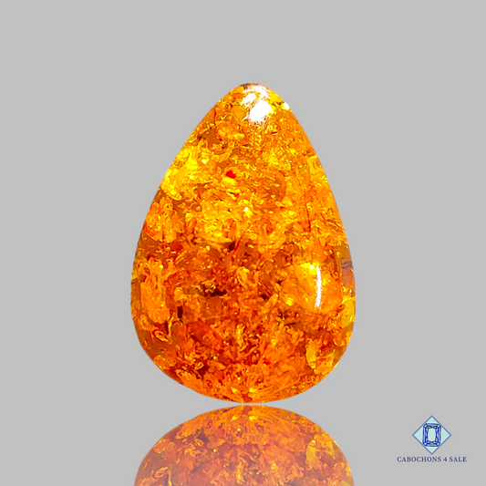 Baltic  Amber