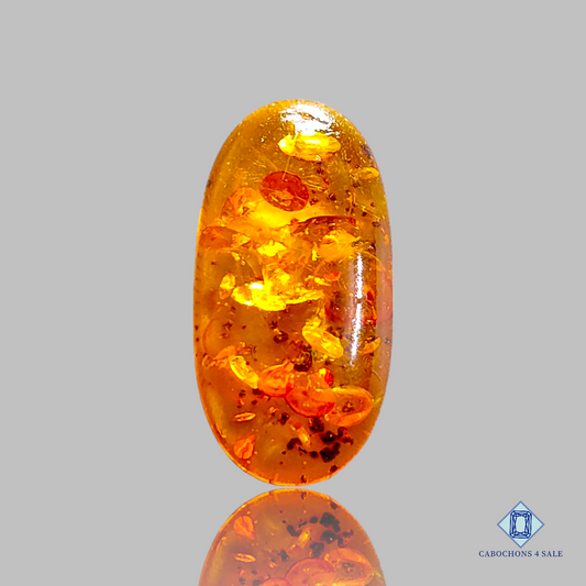 Baltic  Amber