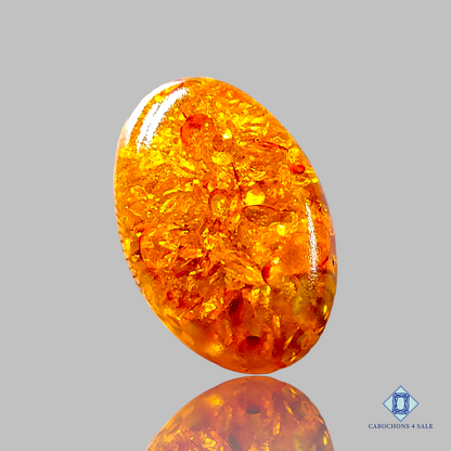 Baltic  Amber