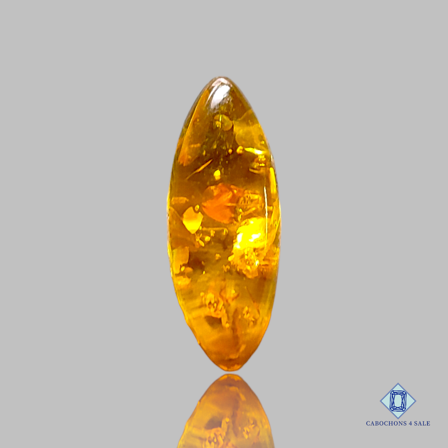 Baltic  Amber