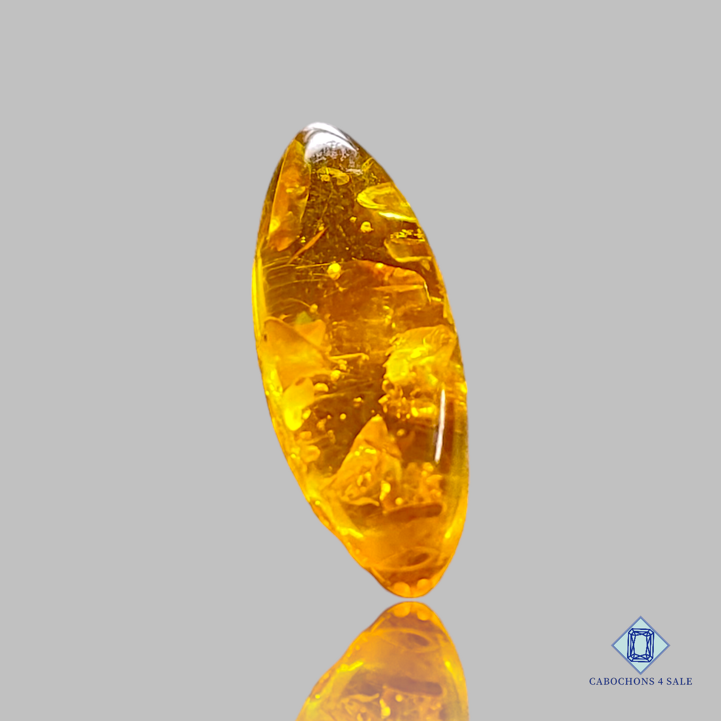 Baltic  Amber