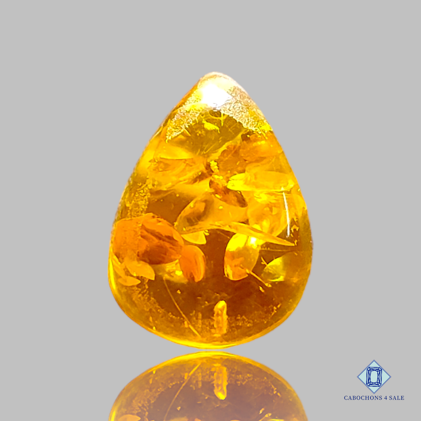 Baltic  Amber