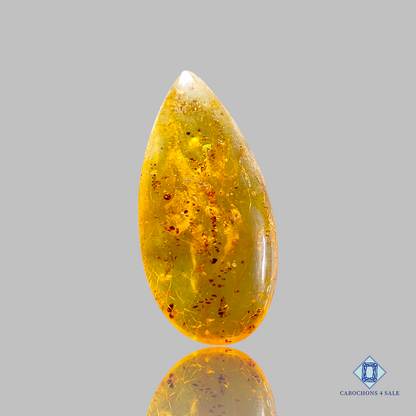 Baltic  Amber