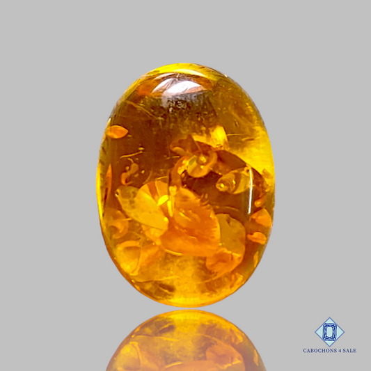 Baltic  Amber