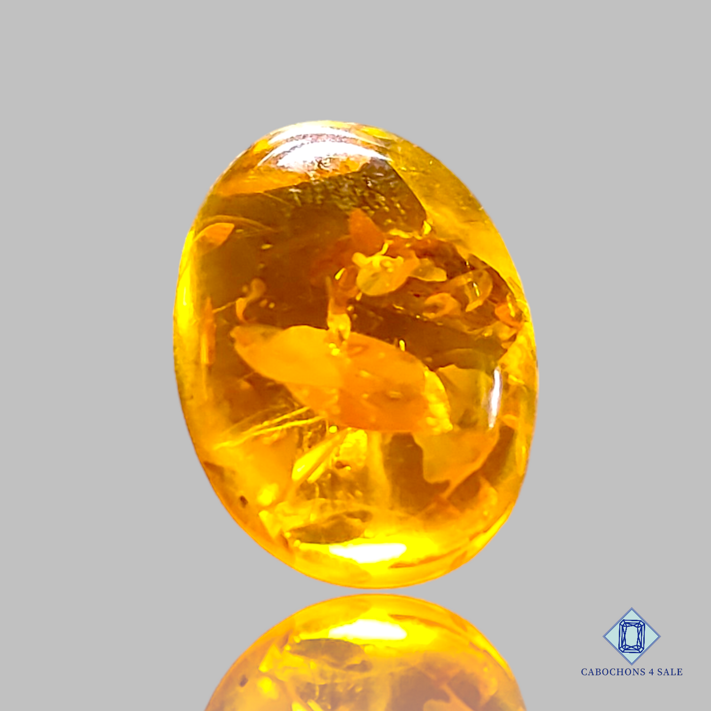 Baltic  Amber