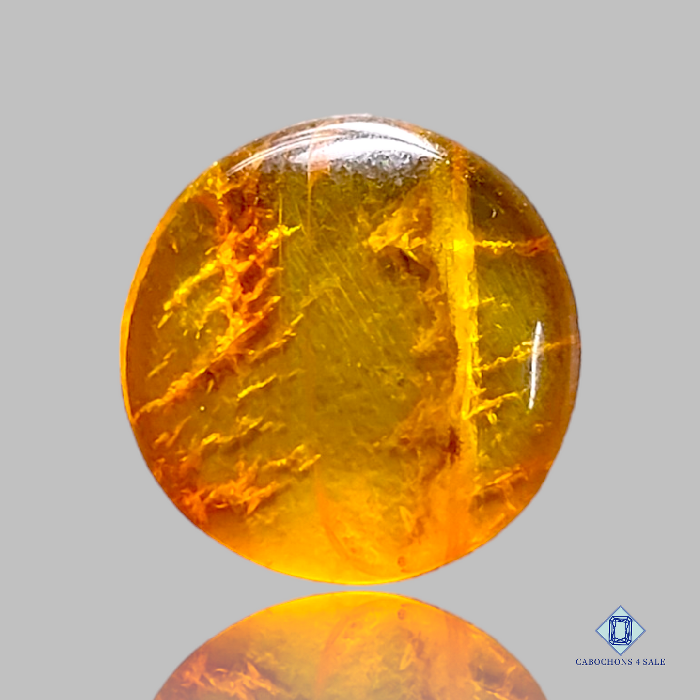 Baltic  Amber