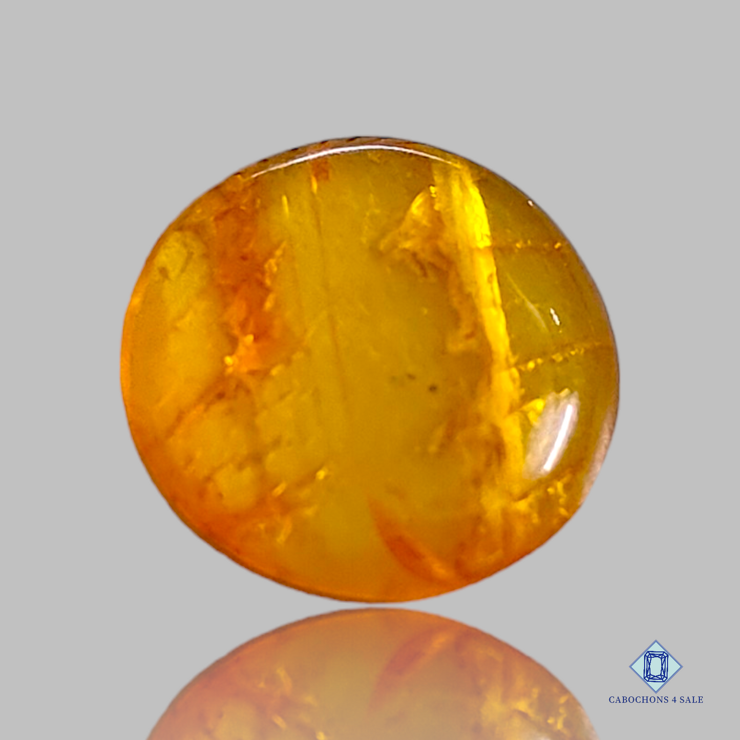 Baltic  Amber