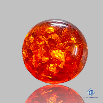 Baltic  Amber