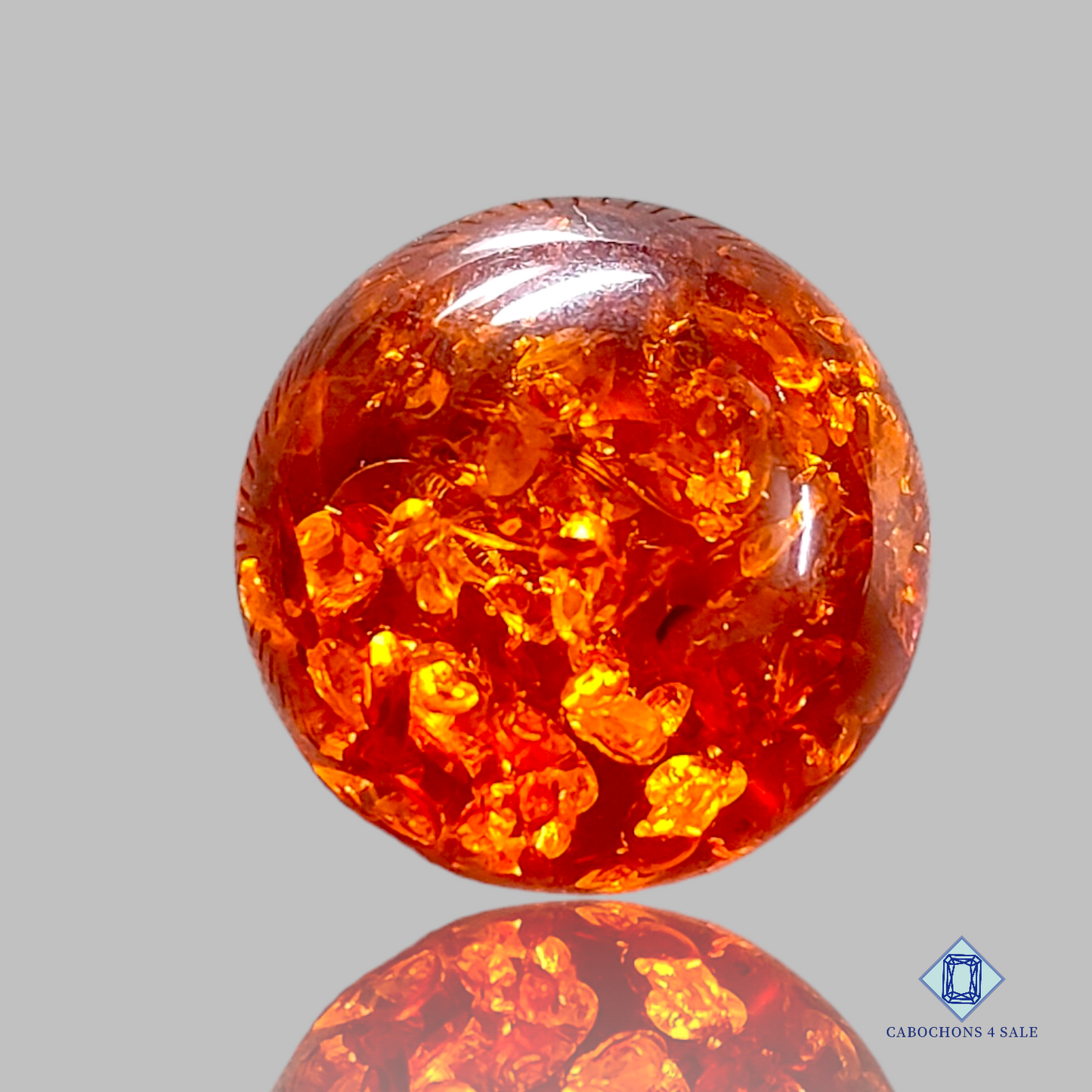 Baltic  Amber