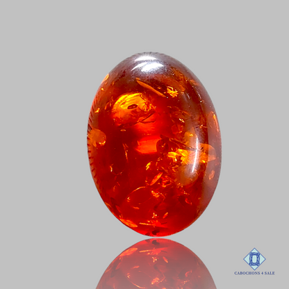 Baltic  Amber