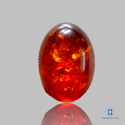 Baltic  Amber