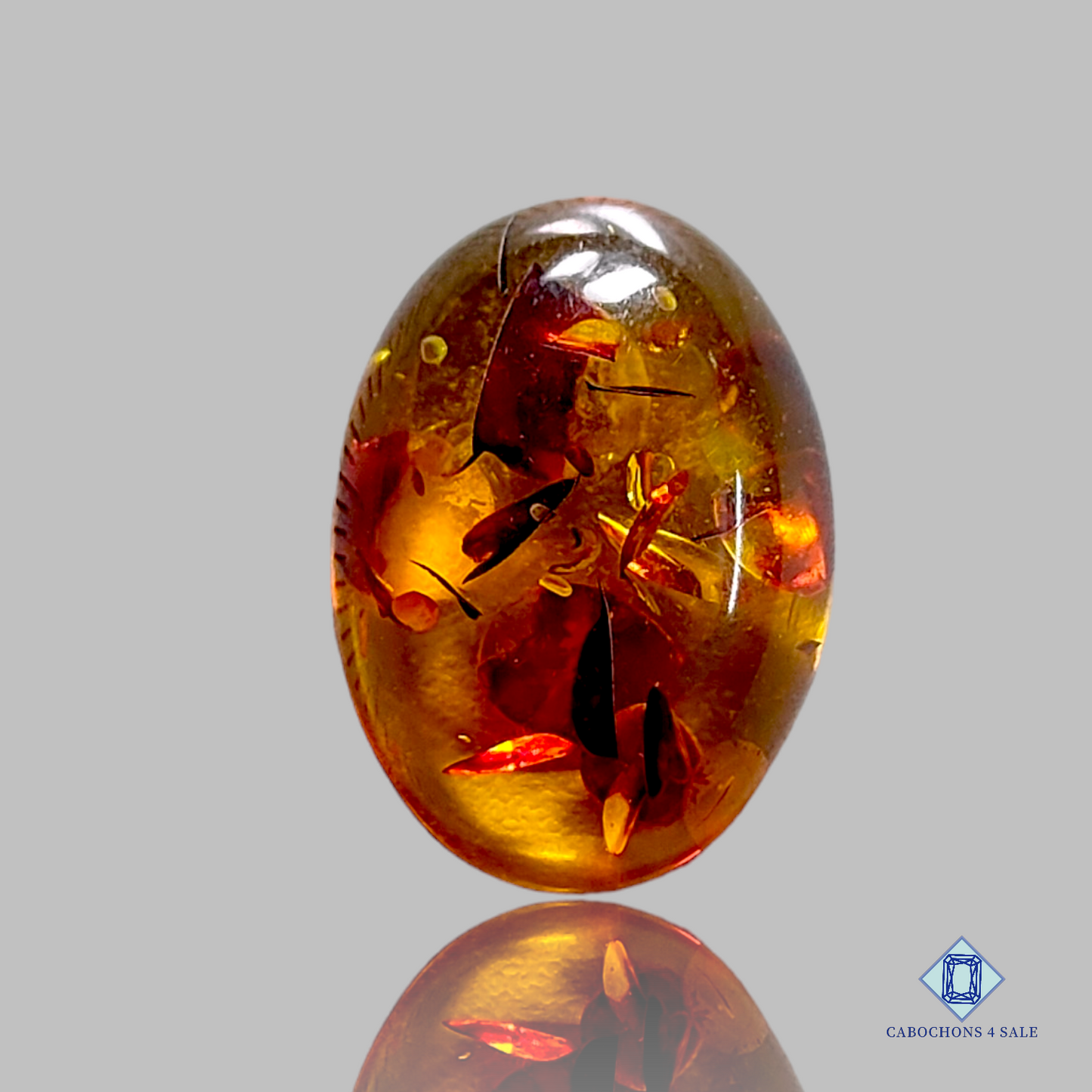 Baltic  Amber