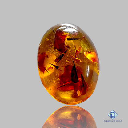 Baltic  Amber