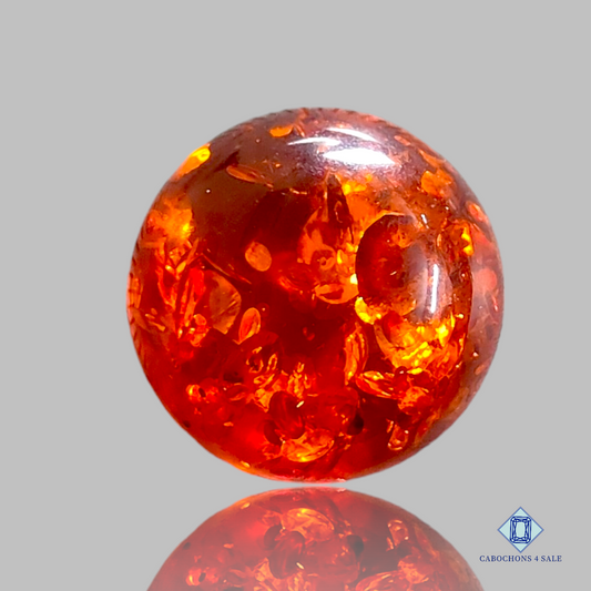 Baltic  Amber