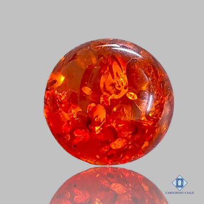 Baltic  Amber