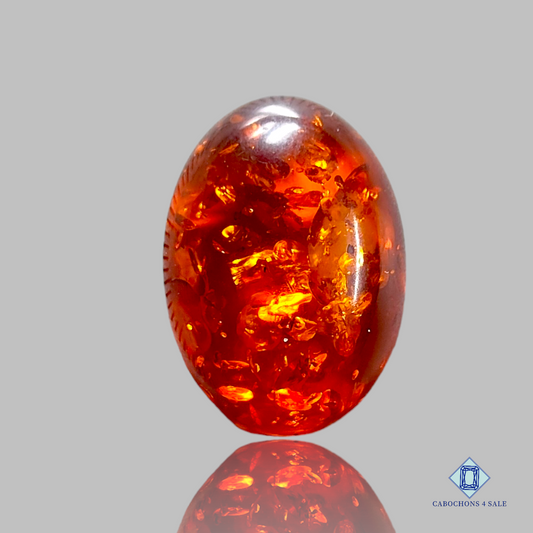 Baltic  Amber