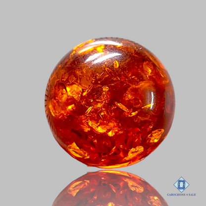 Baltic  Amber