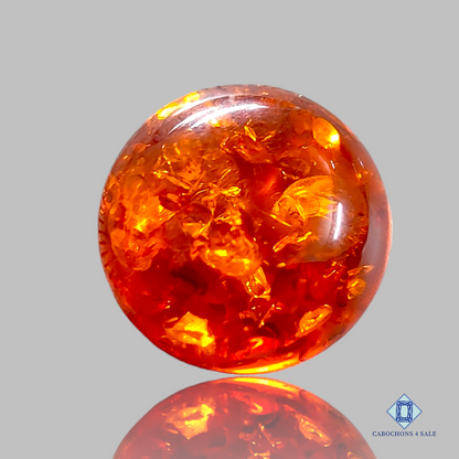 Baltic  Amber