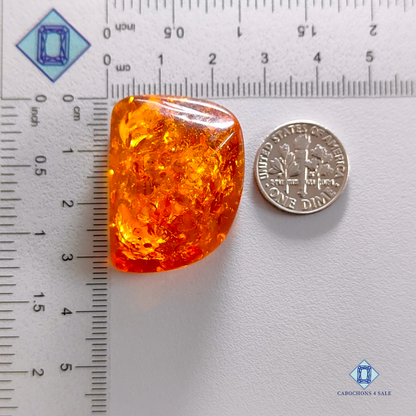 Baltic  Amber