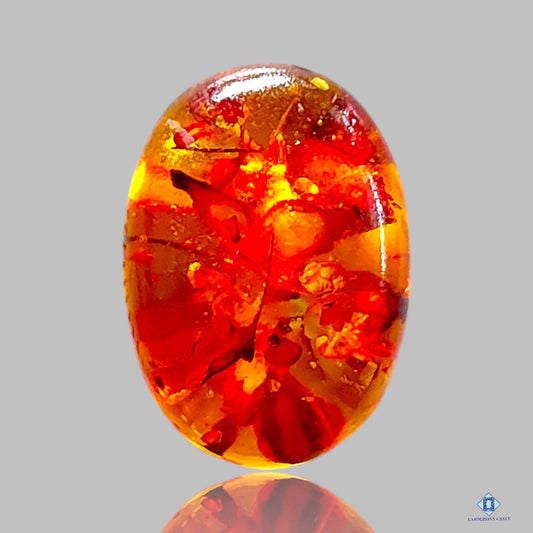 Baltic Amber