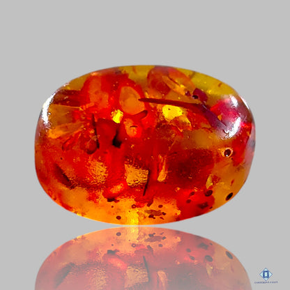 Baltic Amber Oval Cabochons