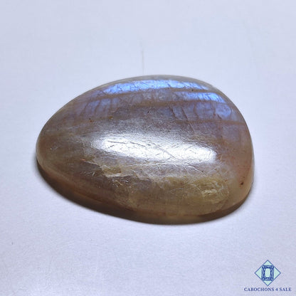 Belomorite