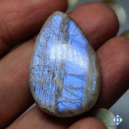 Belomorite