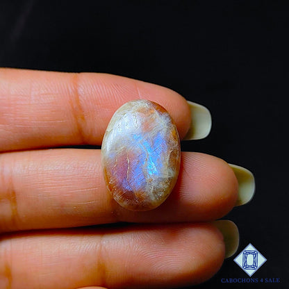 Belomorite (Moonstone + Sunstone)