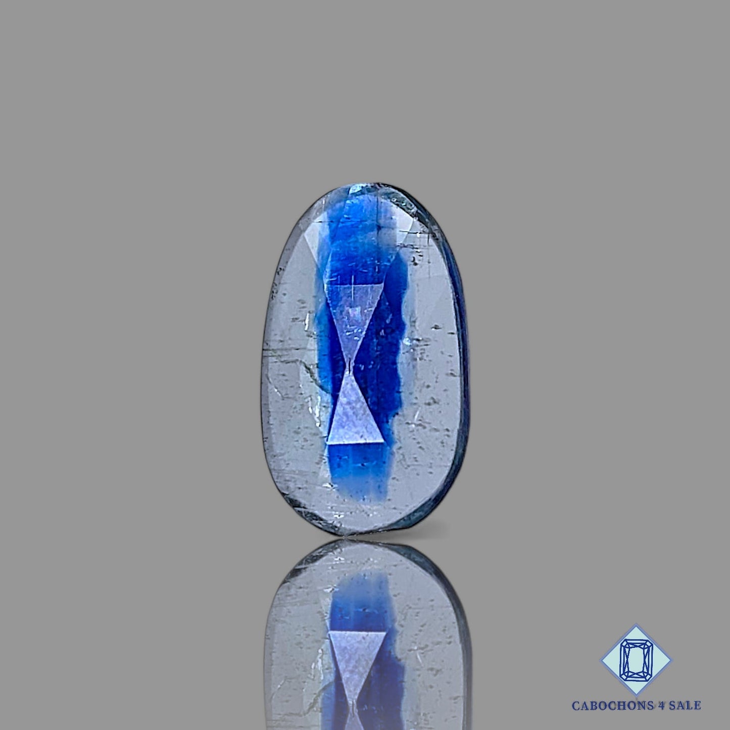 Bi Color Blue Kyanite