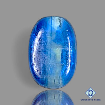 Bi Color Blue Kyanite