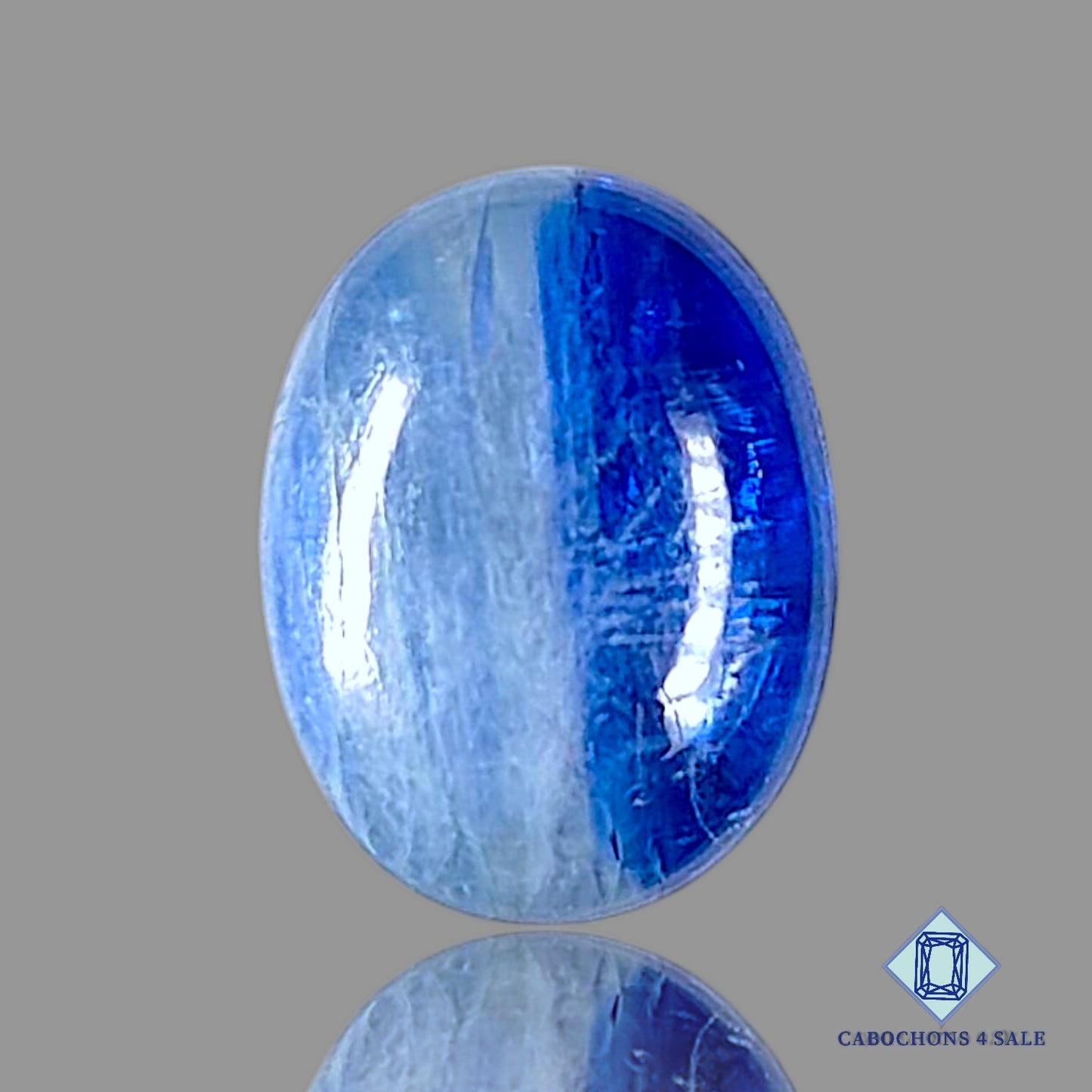 Bi Color Blue Kyanite