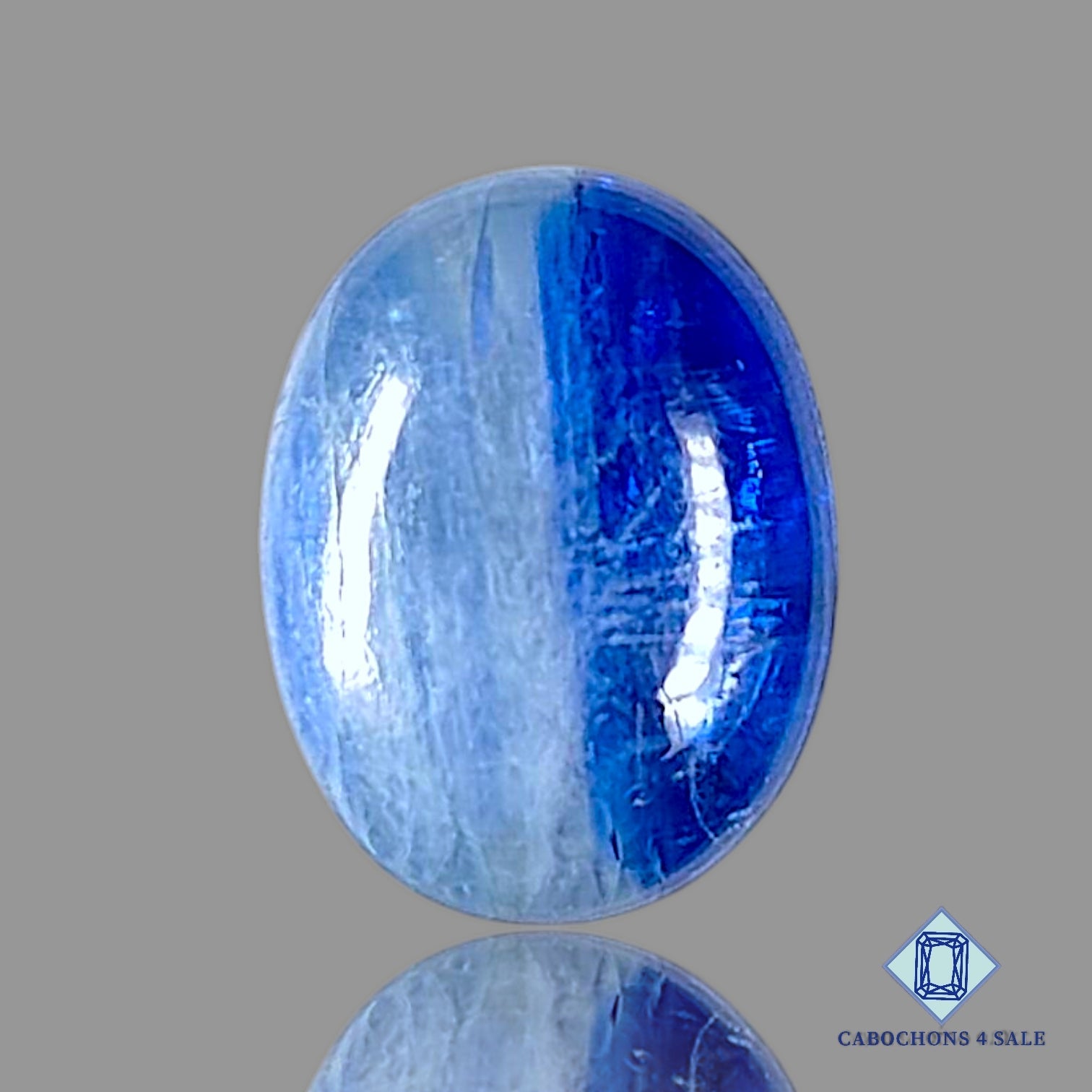 Bi Color Blue Kyanite