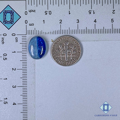 Natural Bi Color Blue Kyanite Gemstone  Oval Cabochons 13*10*4mm from Brazil available for sale