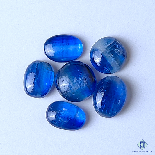 Bi Color Blue Kyanite